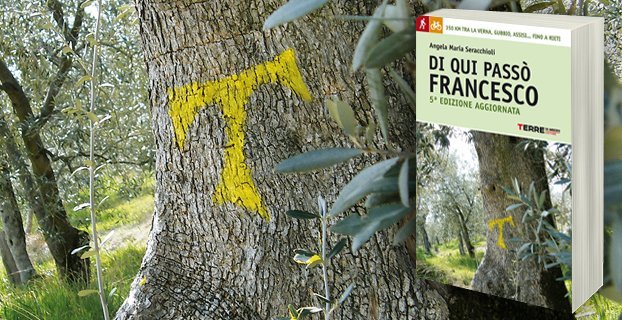 Angela Seracchioli racconta di qui passo’ Francesco
