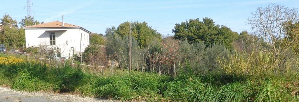 Nel cuore della Tuscia una nuova casa per i pellegrini