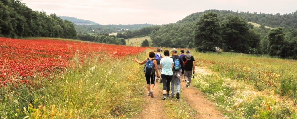European Via #Francigena Marathon 2017