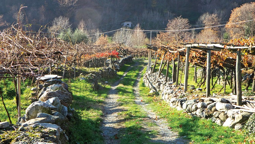 Weekend sul Cammino Balteo alla scoperta dei vigneti eroici