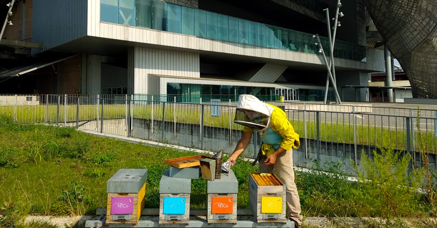 Giornata mondiale delle api 2021. Le arnie in città
