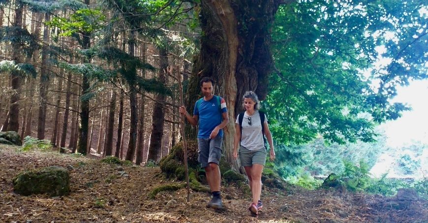 “Toscana a piedi”. Intervista agli autori Vincenzo Moscati e Milena Romano