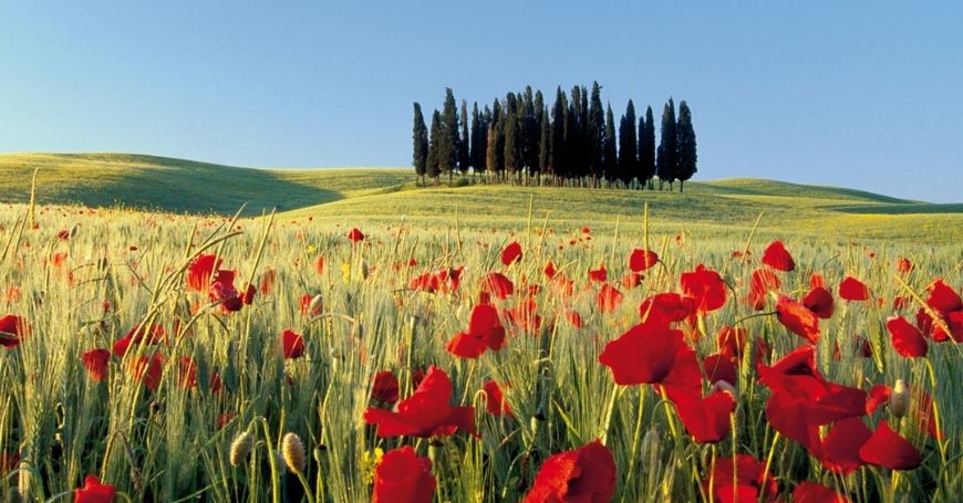 I luoghi da non perdere sull’itinerario di “Toscana a piedi”