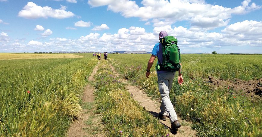 Idee per una vacanza a piedi sul Cammino Materano