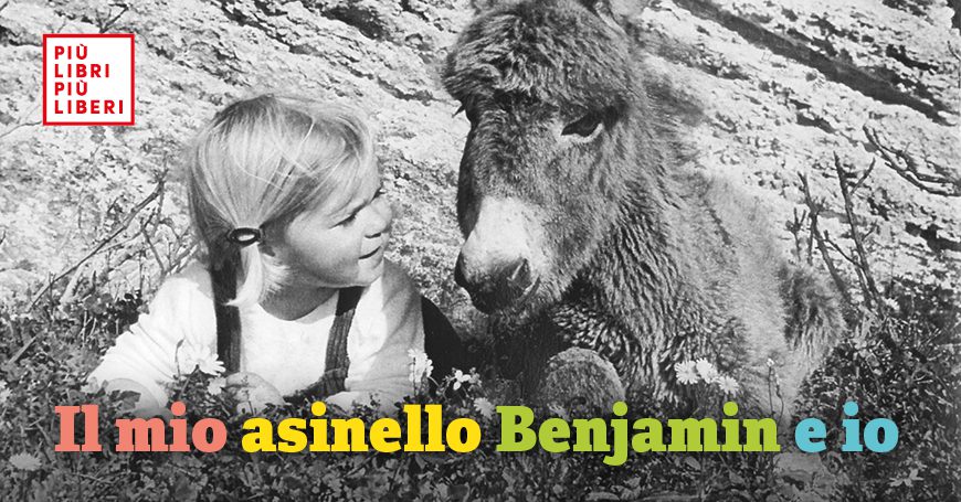 il mio asinello benjamin