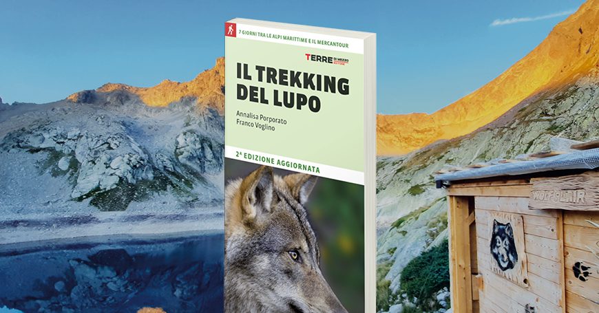 Il Trekking del lupo: tutto quello che c’è da sapere