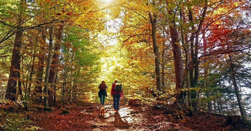 I Cammini da fare in autunno